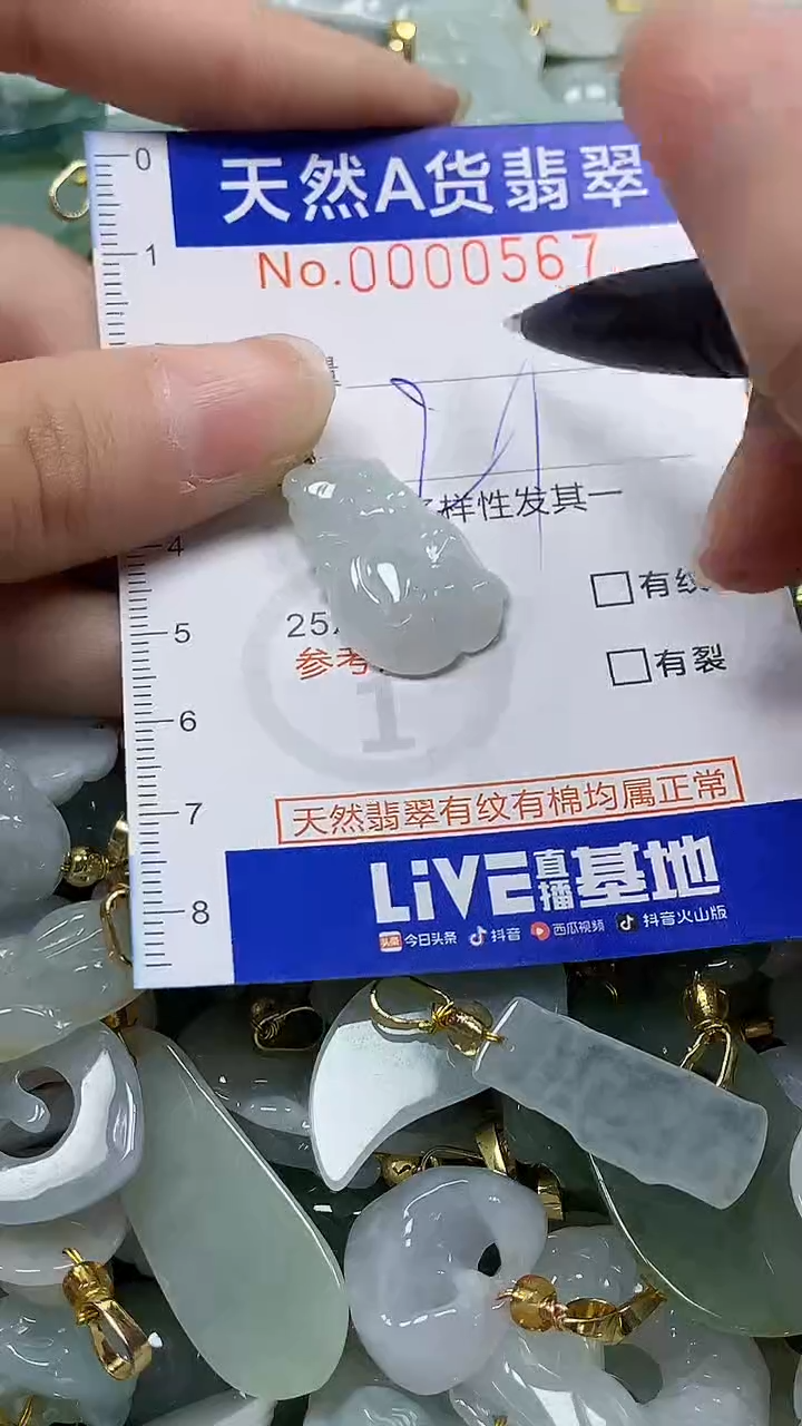 颈饰未镶嵌翡翠纯天然a货翡翠