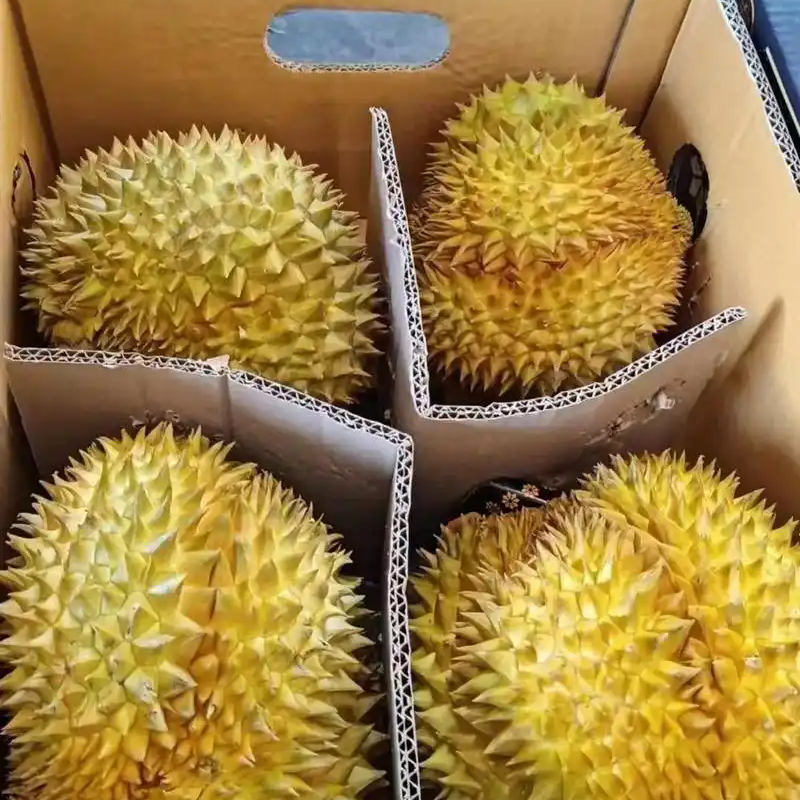 【瑕疵果特价处理】泰国树熟金枕新鲜榴莲核小500g（一物一拍）榴莲同城送金枕泰国