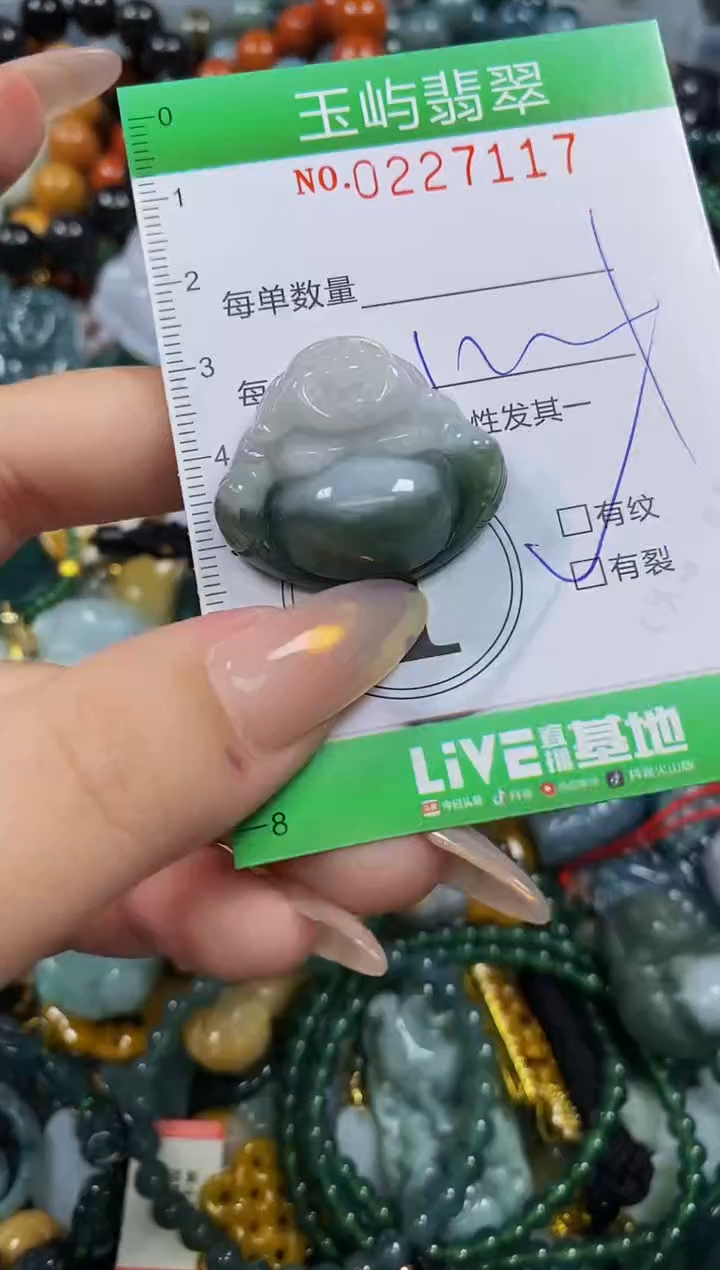 颈饰未镶嵌翡翠闪购0227117