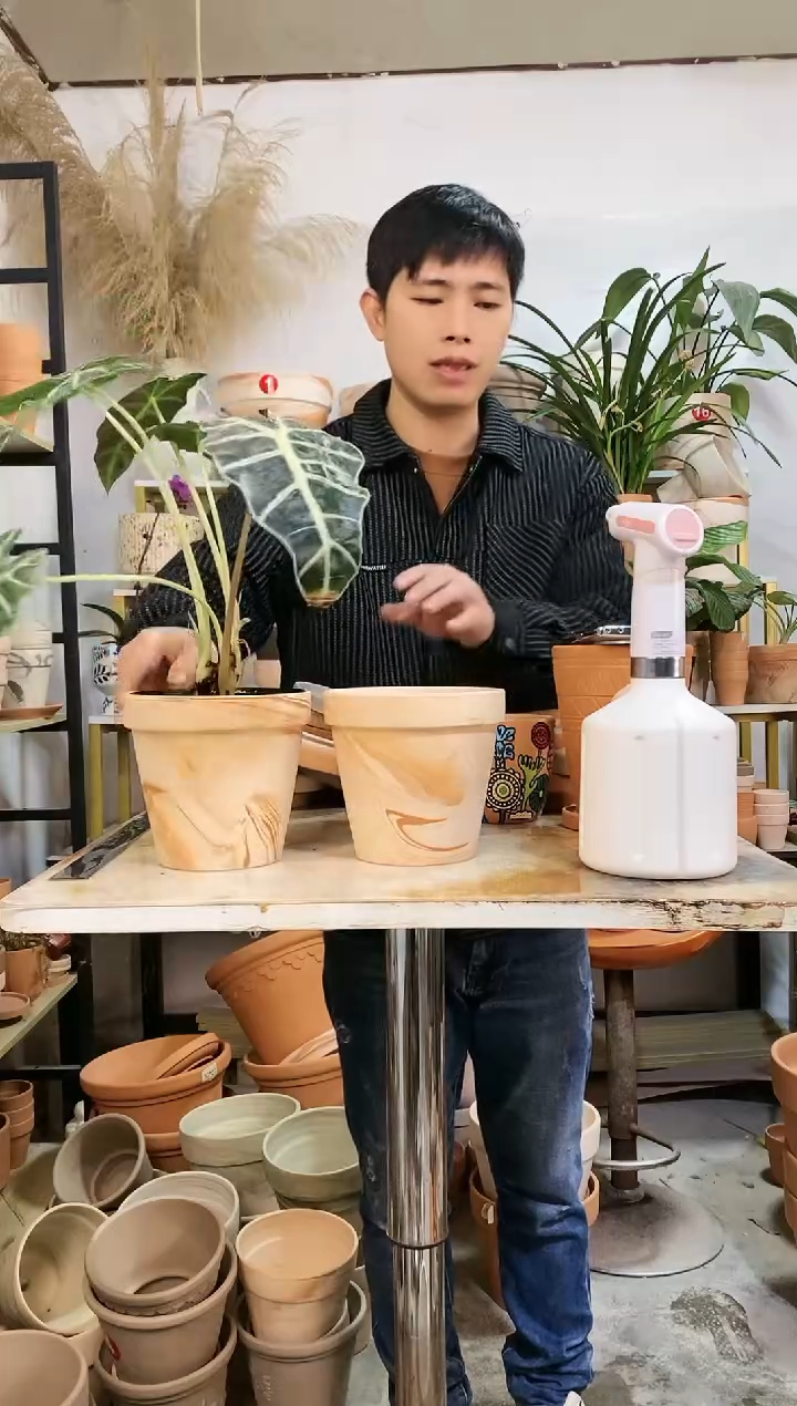 【闪购商品】红陶15*14玛奇朵 2盆无托