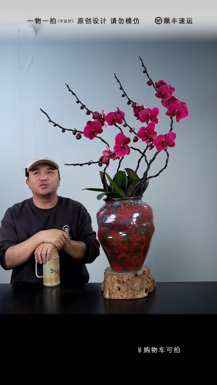 【闪购商品】046号链接【一物一拍】艺术盆景