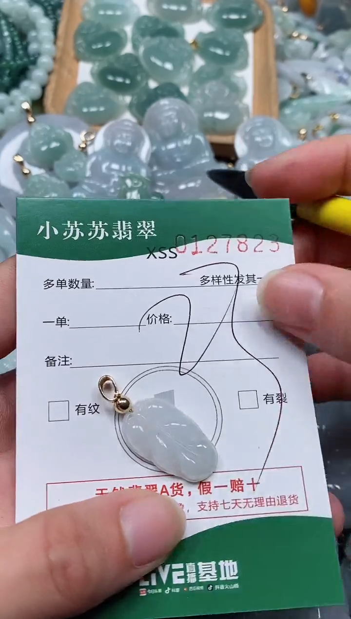 【闪购商品】翡翠颈饰未镶嵌闪购商品0127823