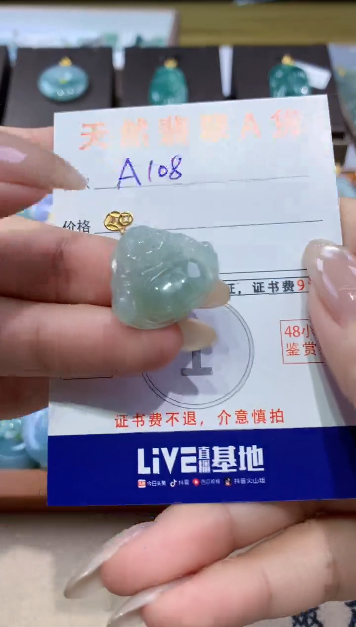 颈饰未镶嵌翡翠天然缅甸翡翠A货挂件 