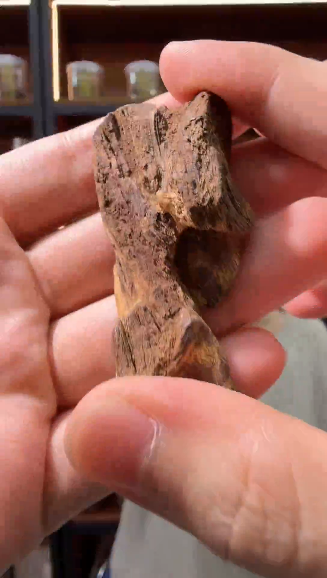 沉香吊坠62号红土多样性发一