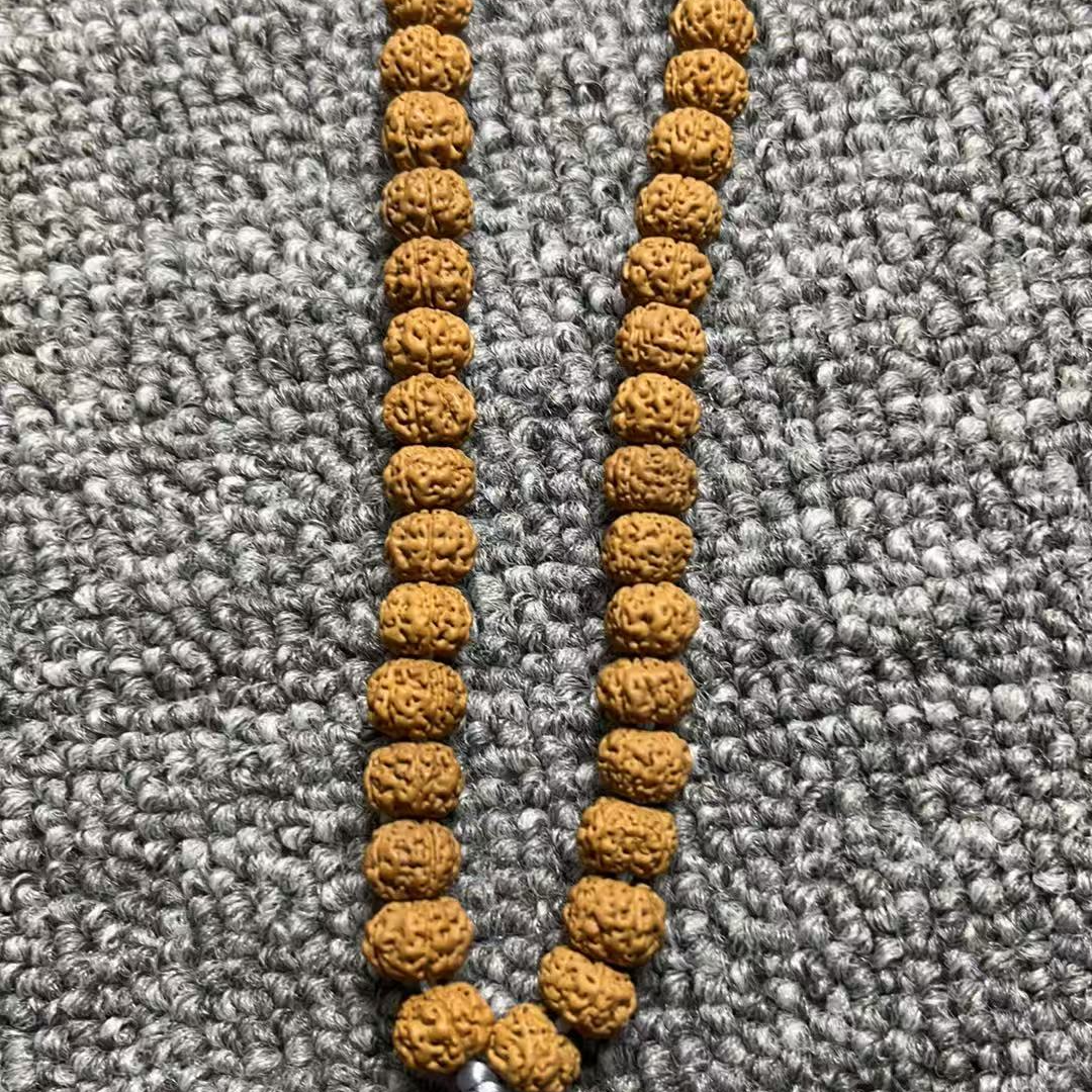 小南瓜桩金刚菩提(福利款）