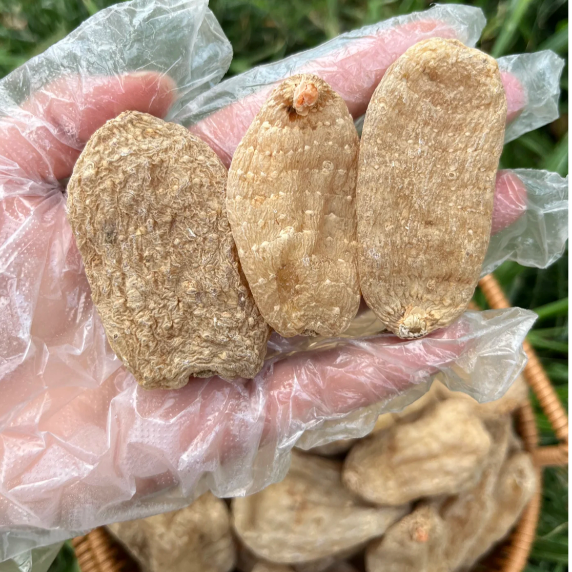 【刘土地家】云南昭通小草坝天麻
