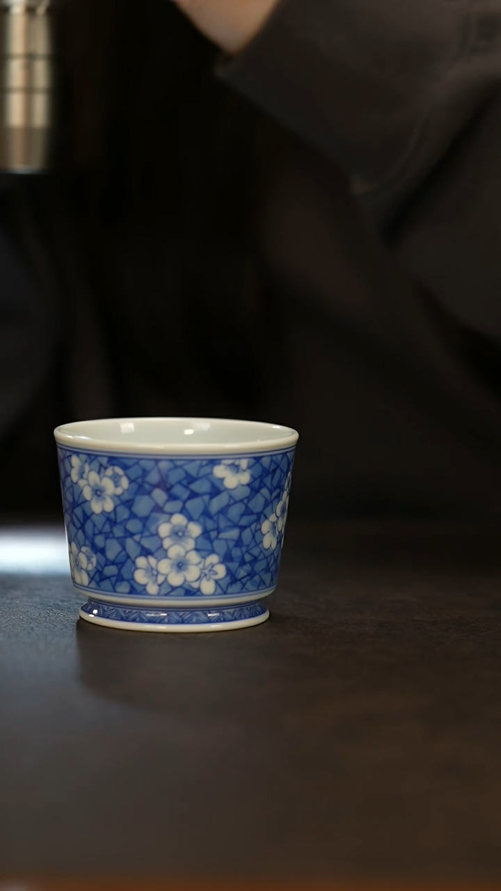 【闪购商品】瓷片春生               小