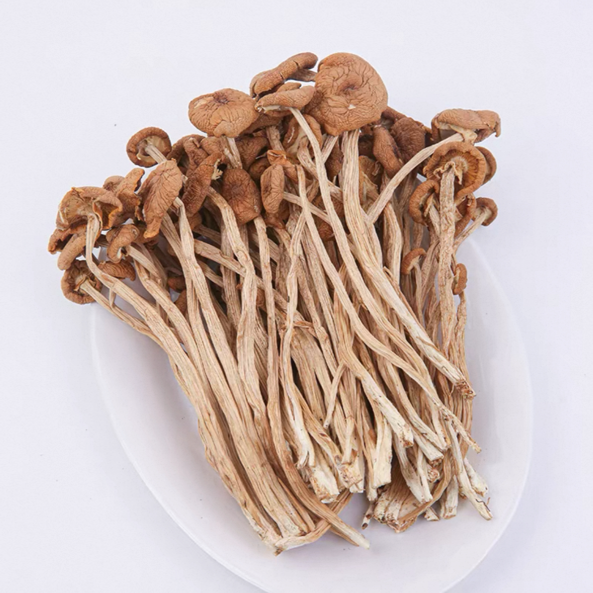 （精选）茶树菇 250g