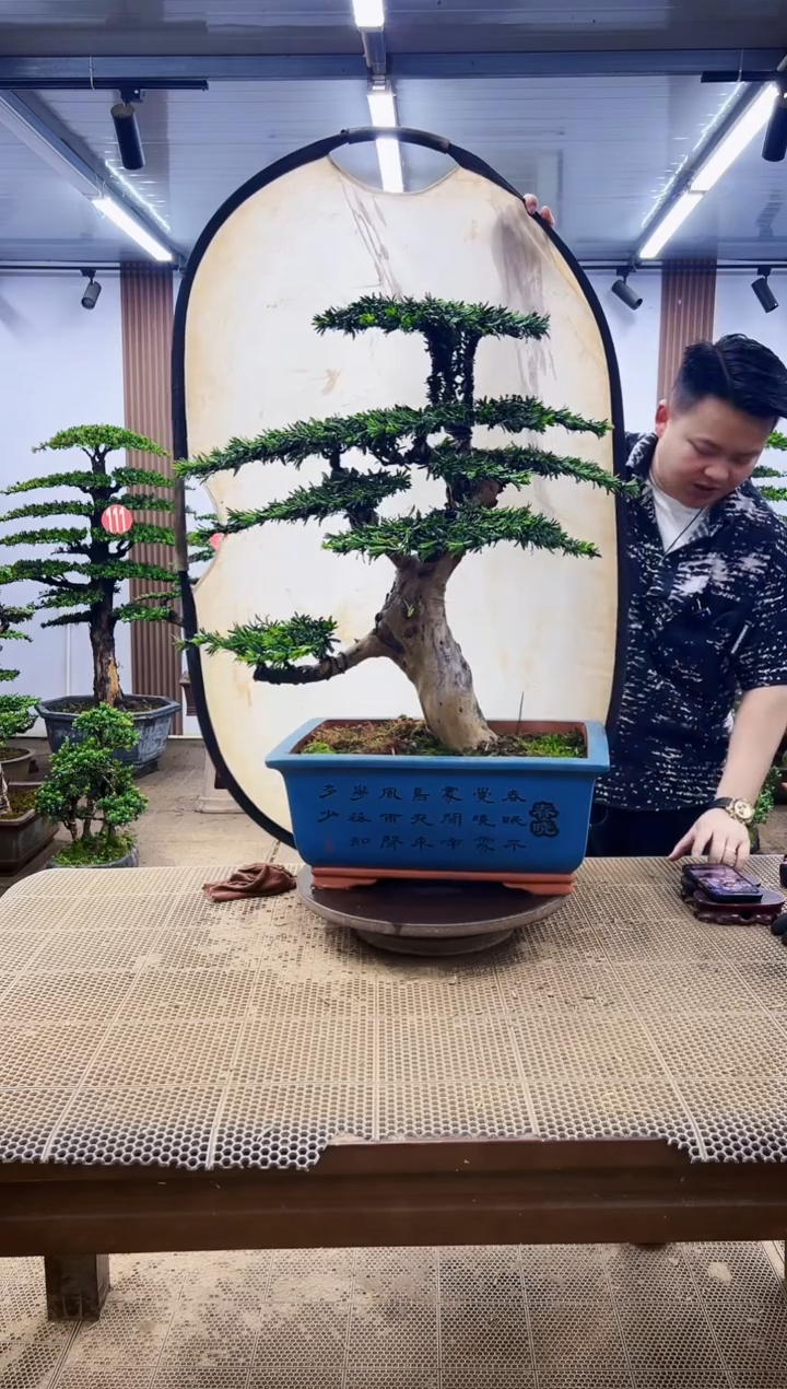 无花朵一物一拍，所见即所得