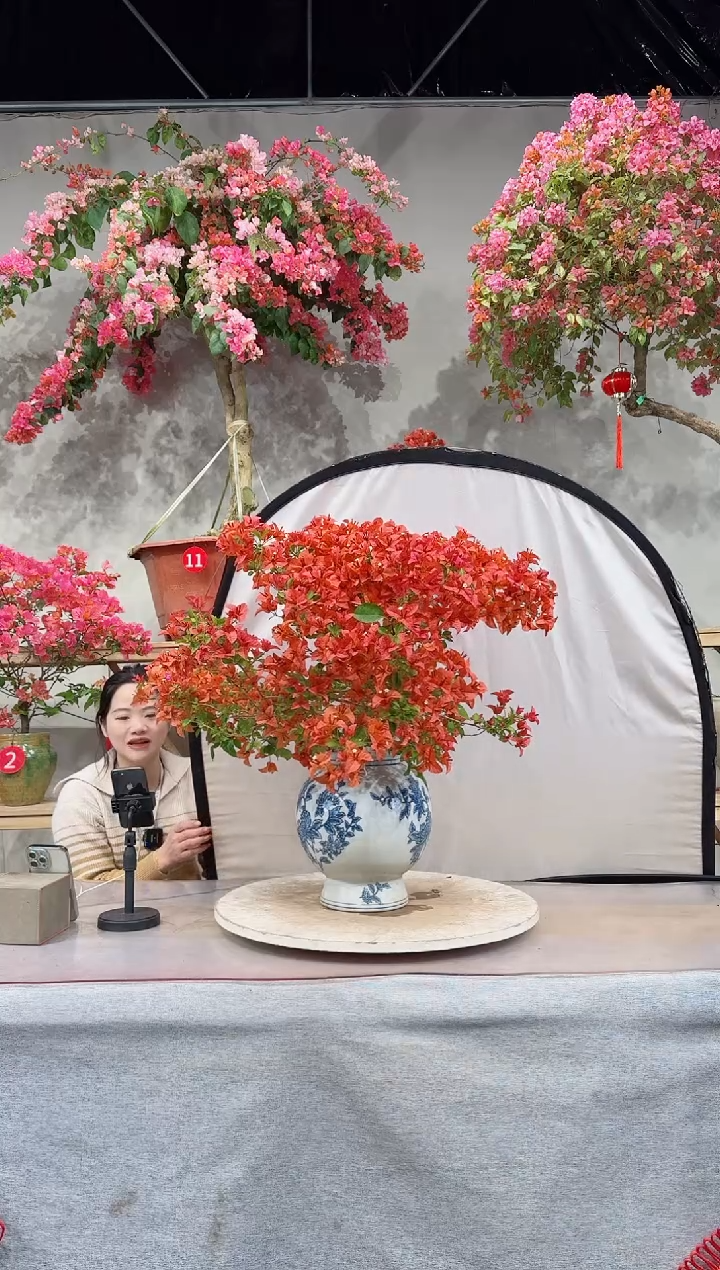 【闪购商品】佩德罗