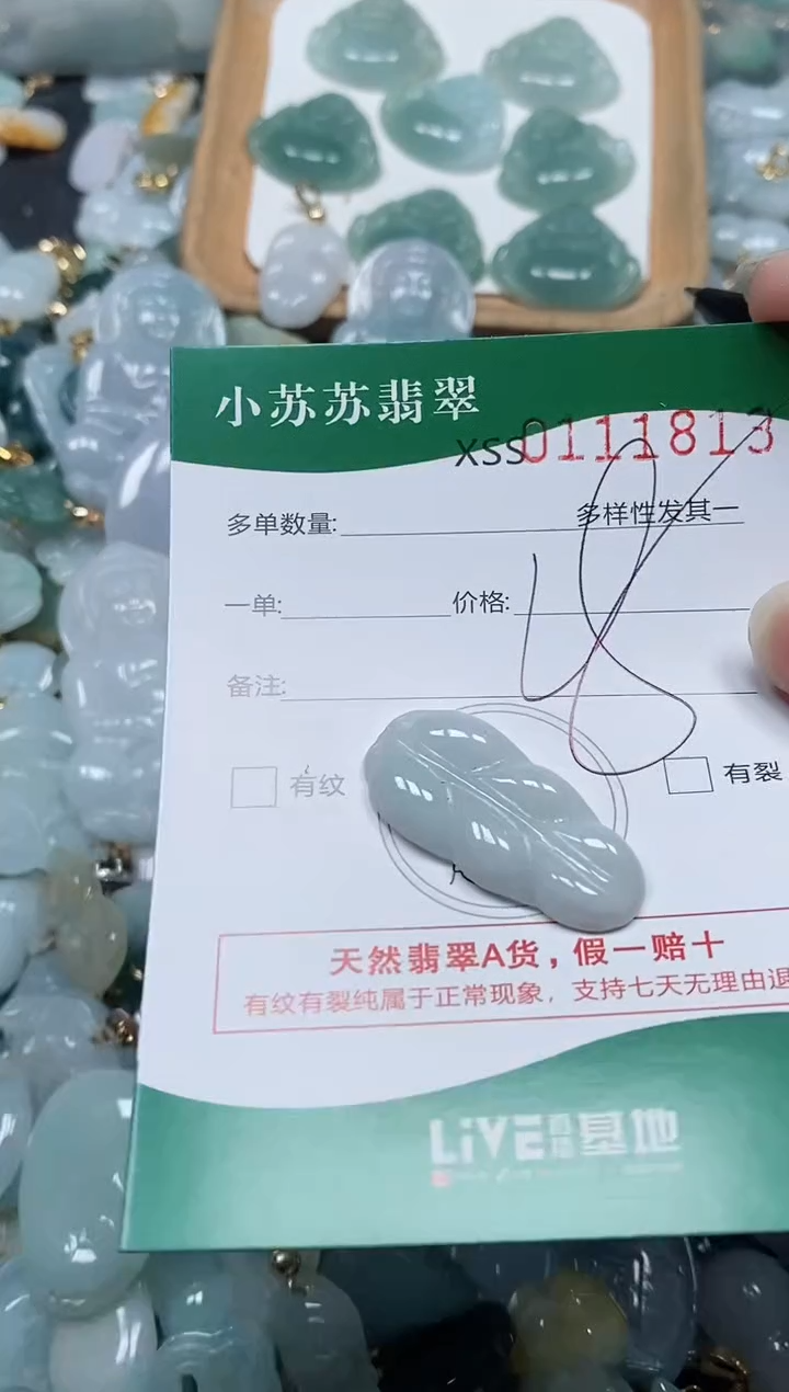 【闪购商品】翡翠颈饰未镶嵌闪购商品0111813