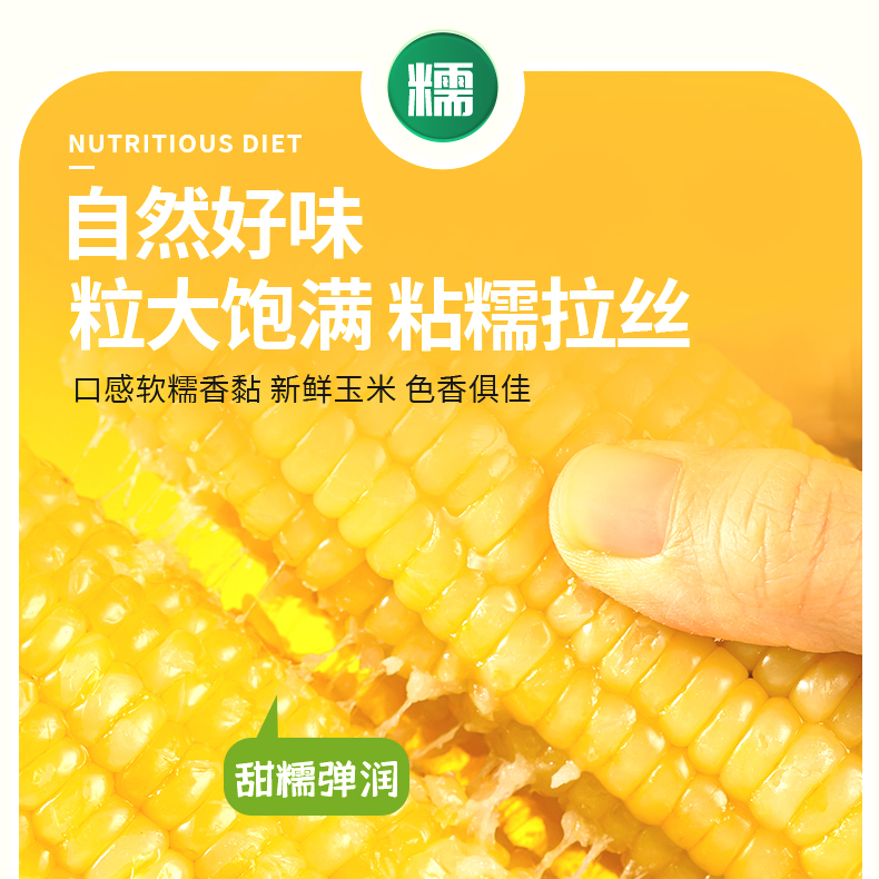 25年新东北黄糯玉米微甜软糯香粘真空锁鲜整箱10支试吃3支