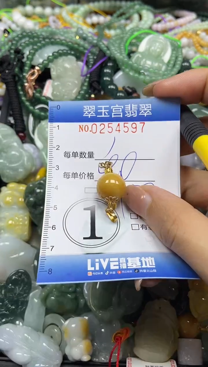 颈饰未镶嵌翡翠闪购C0254597