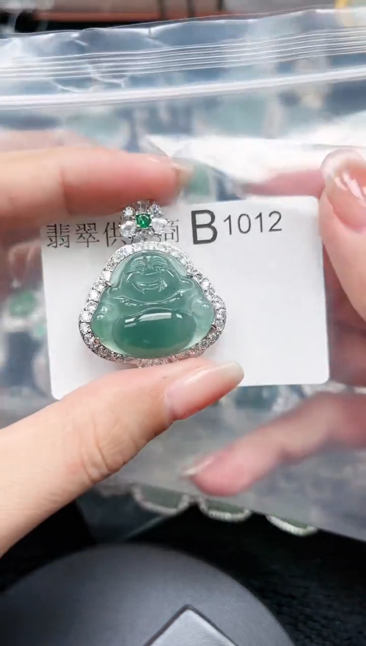 【闪购商品】翡翠颈饰未镶嵌赠皮绳1012
