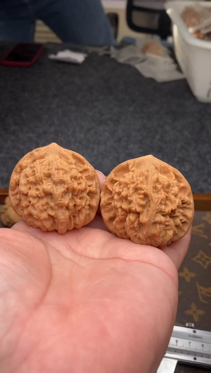 把件文玩核桃B181号49尺官帽