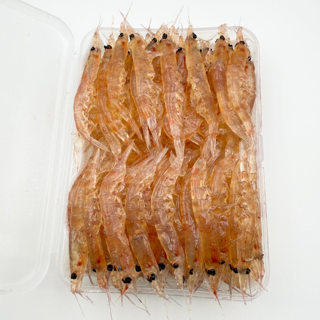 矶炫者蜜制原色南极虾钓鱼2L款海钓矶钓专用饵料虾饵磷虾鱼饵包邮