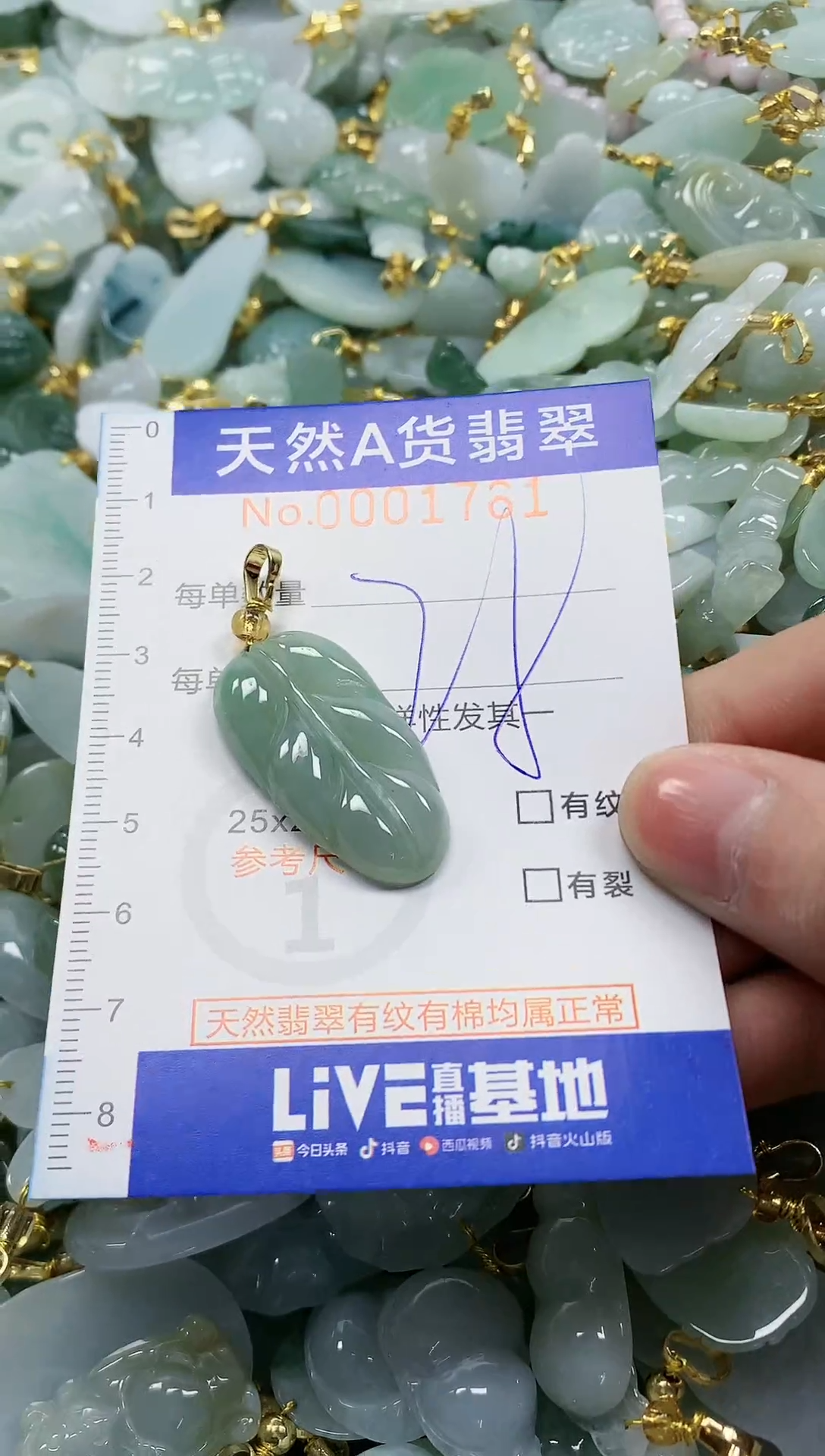 颈饰未镶嵌翡翠纯天然a货翡翠
