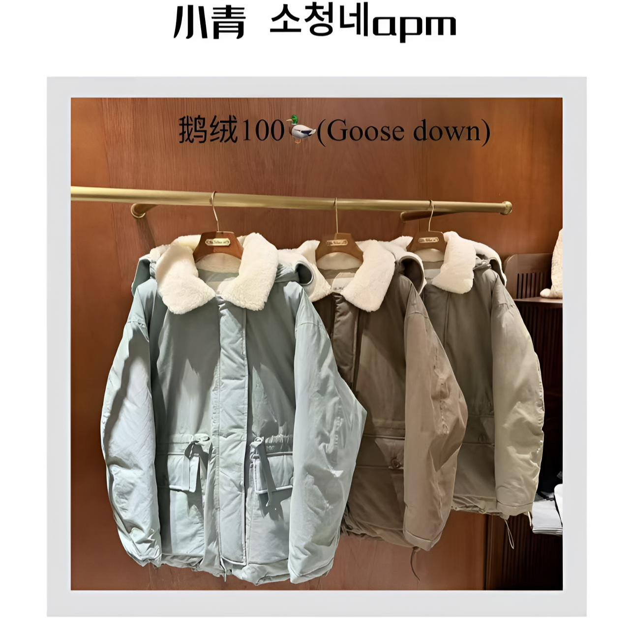 韩国东大门 HEBON/沙丘香草 连帽耳朵大鹅羽羽