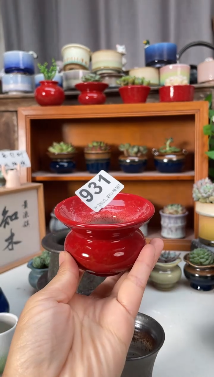 瓷片～**～931知木小芳直播编号