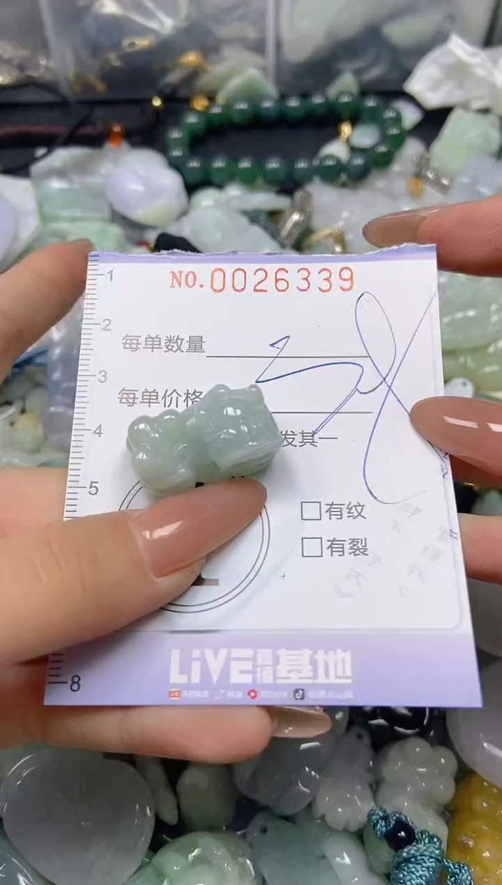 【闪购商品】翡翠颈饰未镶嵌闪购0026339
