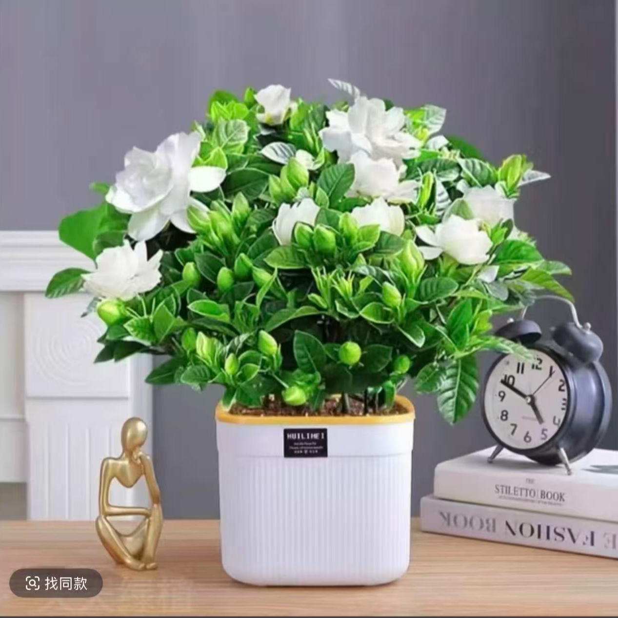 ROULUOI大盆带花苞栀子花盆栽花卉室内水培绿植四季好养