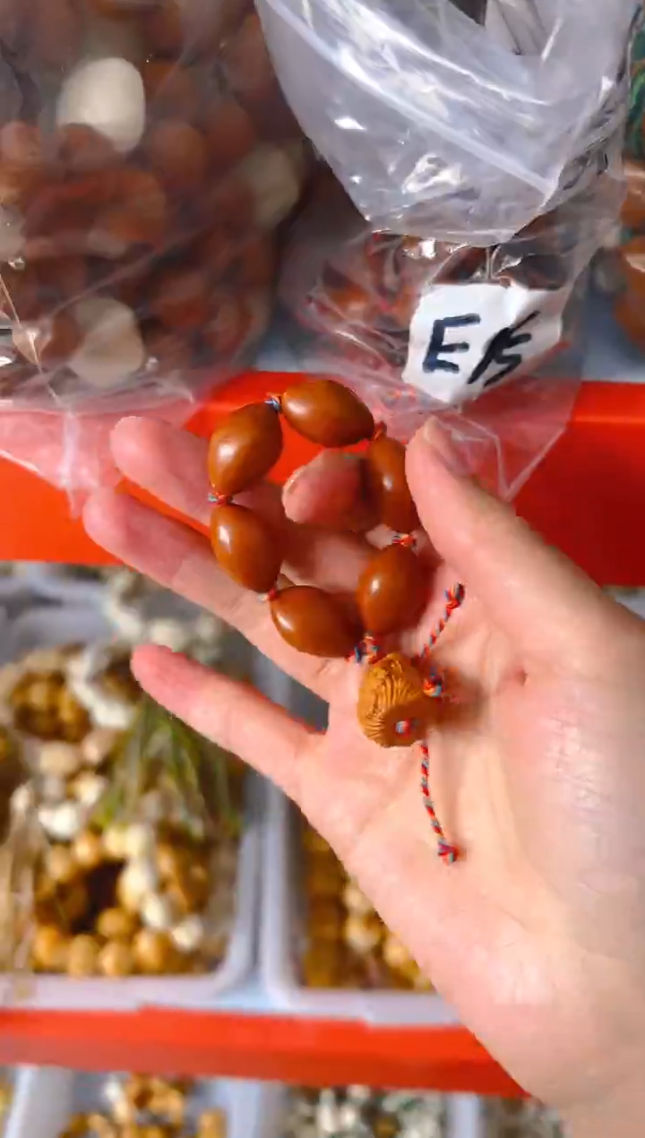 吊坠菩提根/象牙果E15  E15