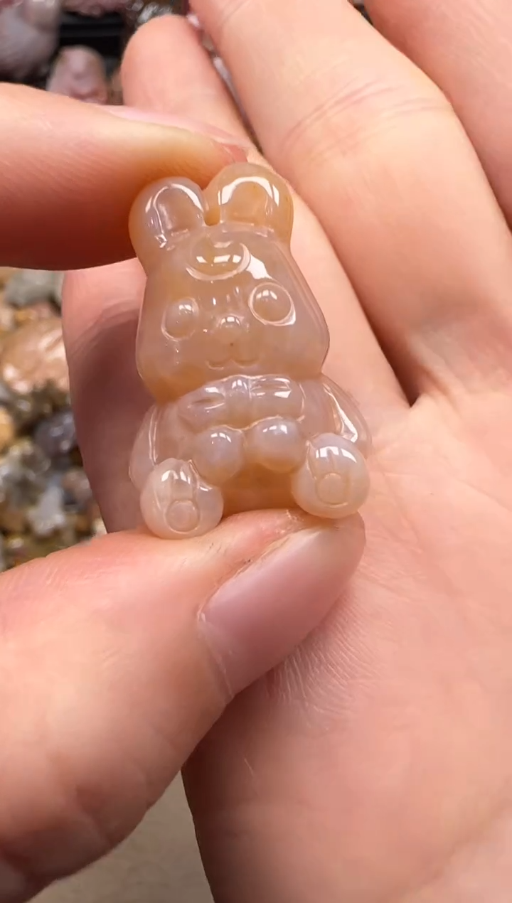 【闪购商品】硅化珊瑚（珊瑚玉）颈饰未镶嵌672