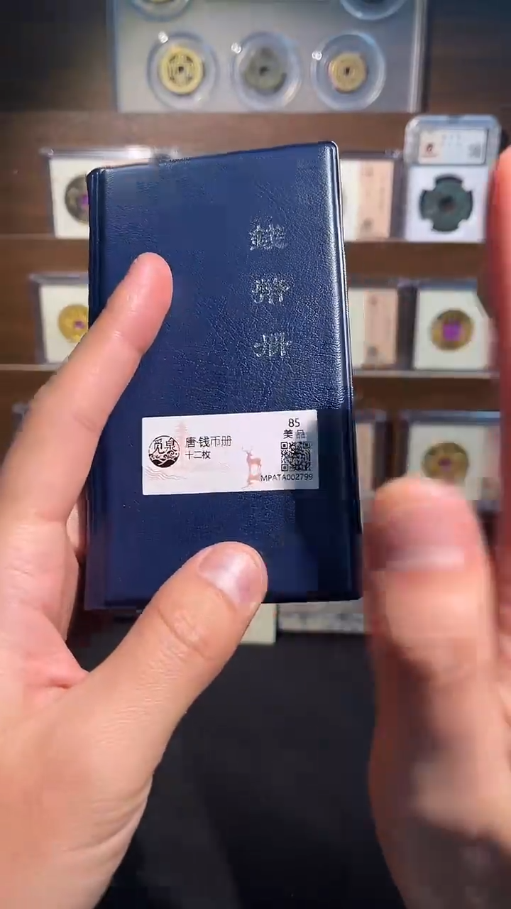 铜带评级 乾元唐代 钱币册 共12枚