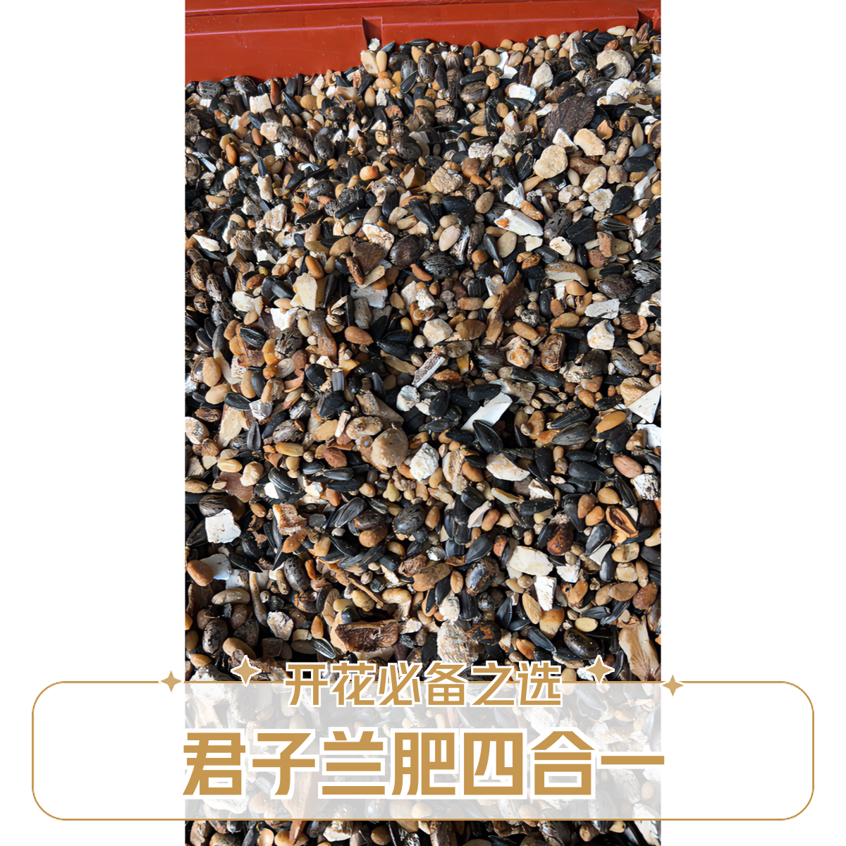 君子兰专用花肥四合一配比三斤装包邮开花必备新疆停发