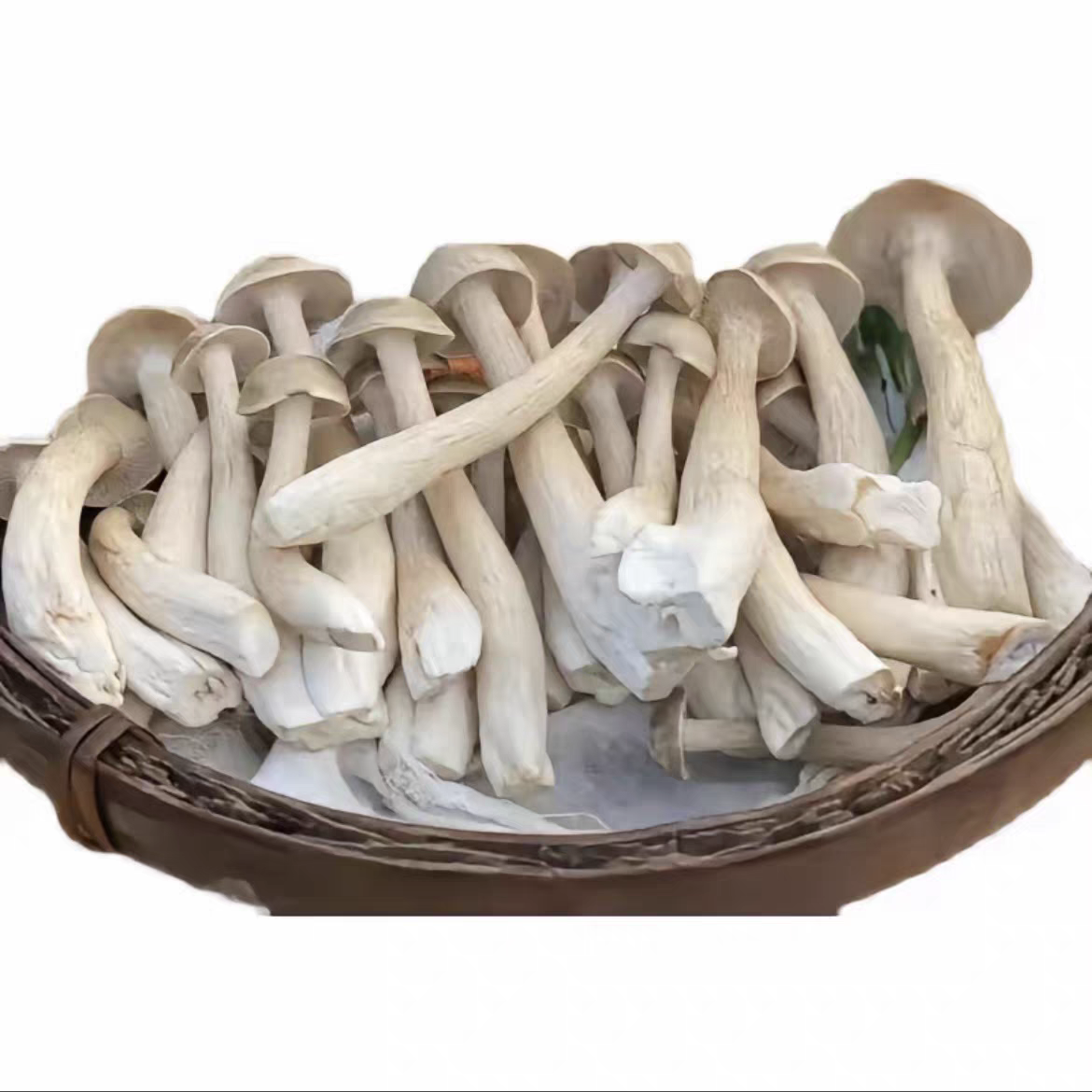 【煲汤提鲜】精选新鲜鹿茸菇1份（称斤售卖）