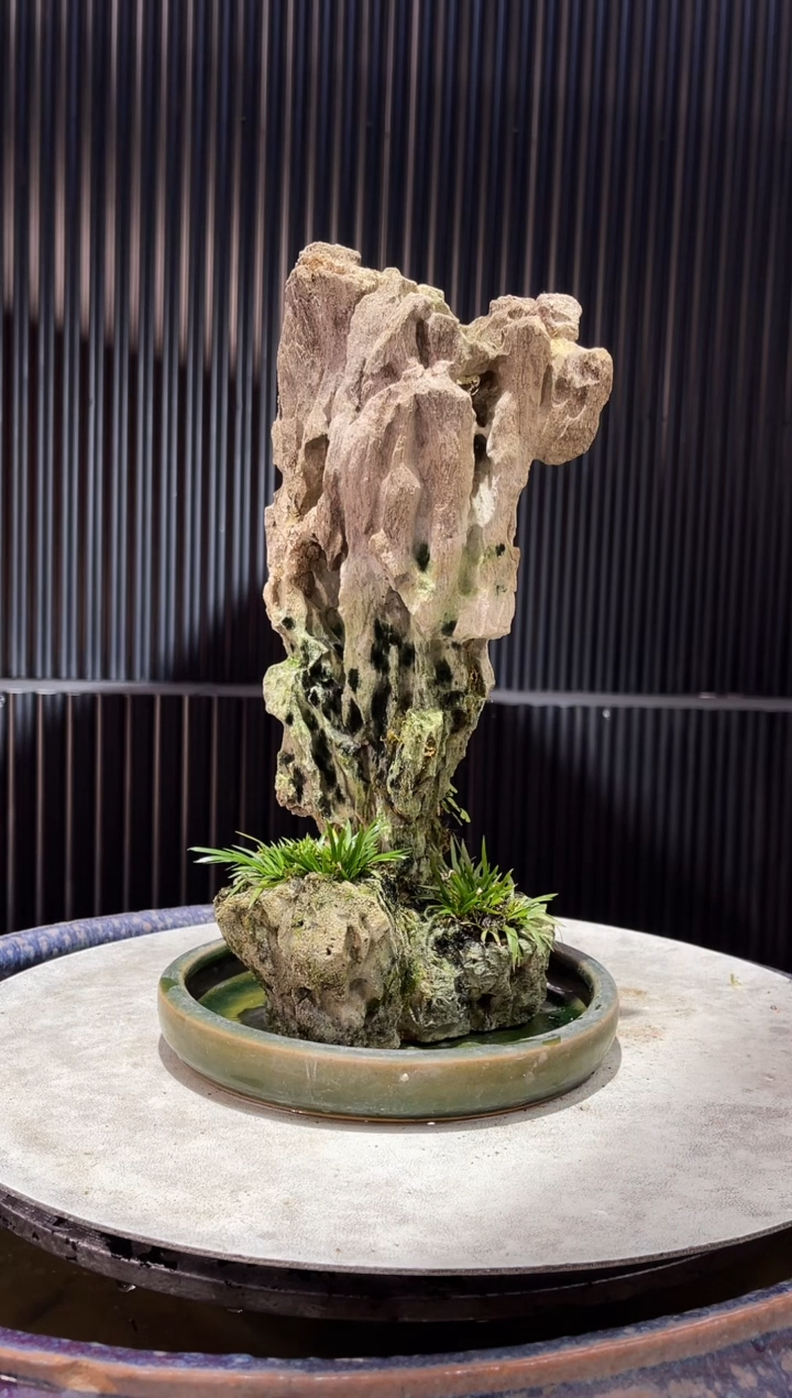 造型吴定石一物一拍专属