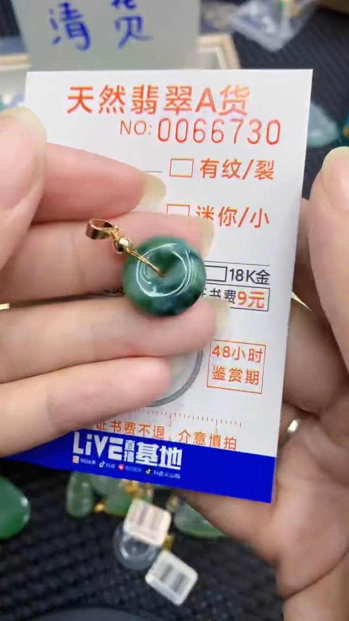 【闪购商品】翡翠颈饰未镶嵌            8