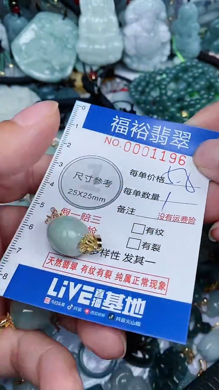 【闪购商品】翡翠颈饰未镶嵌...0001196多样性发其一