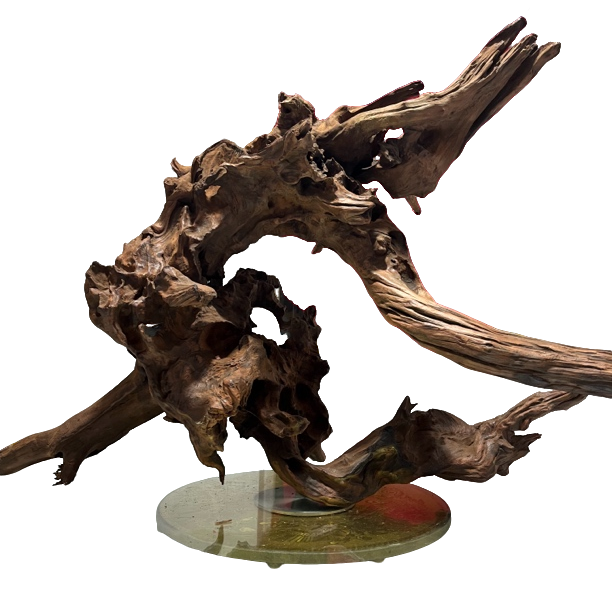 紫柚木 自然风化 鱼缸造景 家居摆件