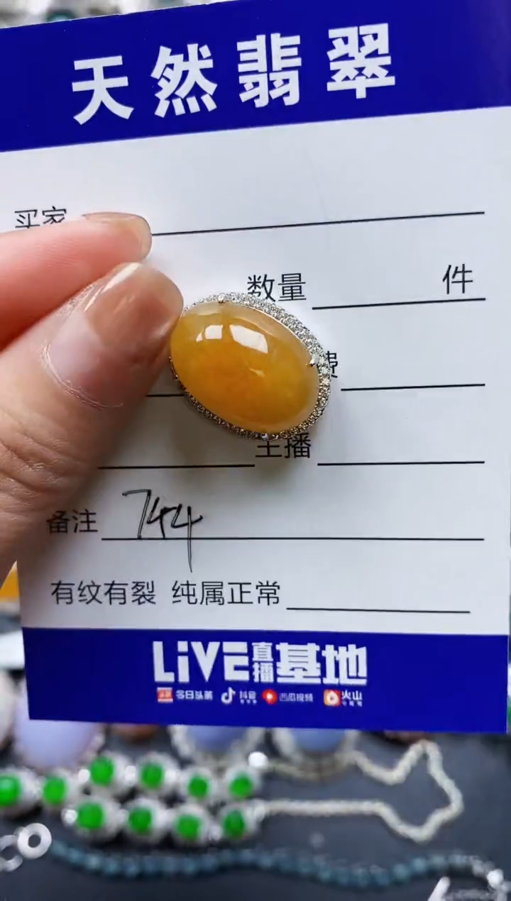 【闪购商品】翡翠颈饰银S925镶嵌0744