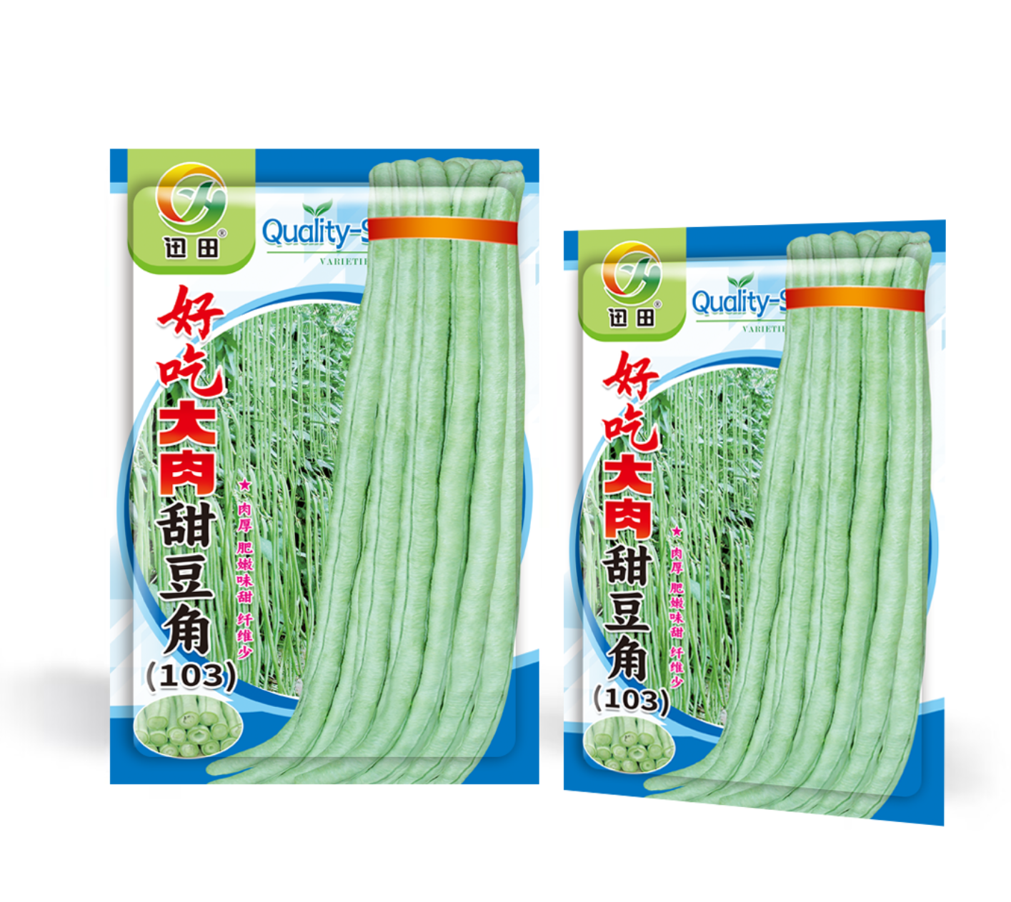 好吃大肉甜豆角高产耐热大肉甜豆角种子适合大面积种植春夏秋播