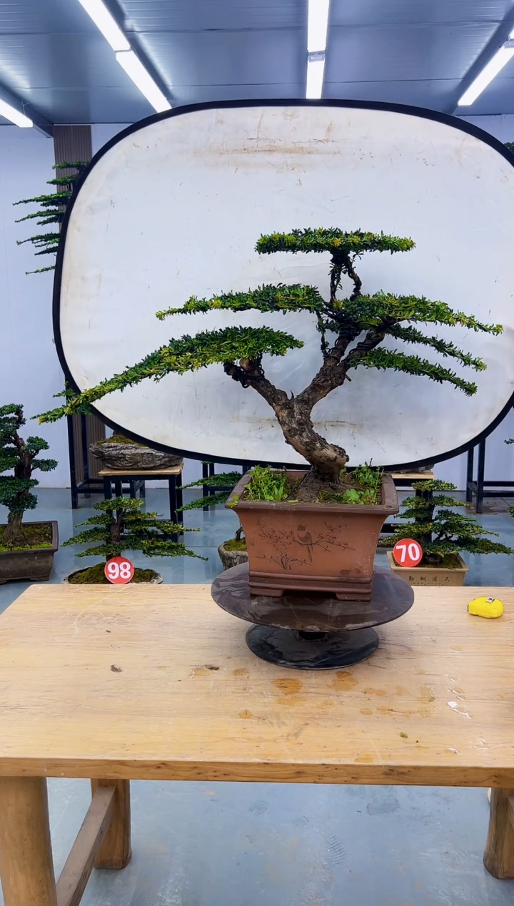 以实际为准000000000