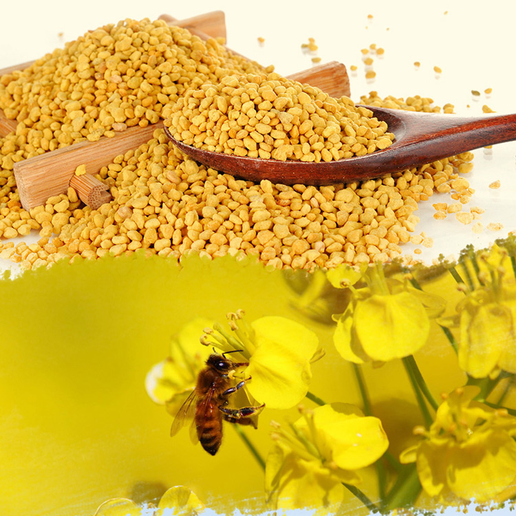 qq沂蒙山蜂花粉大颗粒