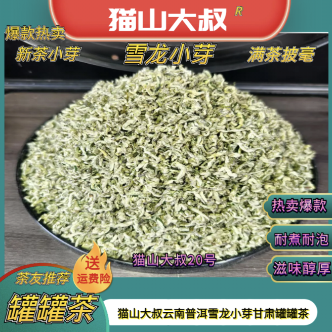 猫山大叔【西奇猫20号】2025新茶云南高山云雾春尖小雪龙甘肃罐罐茶