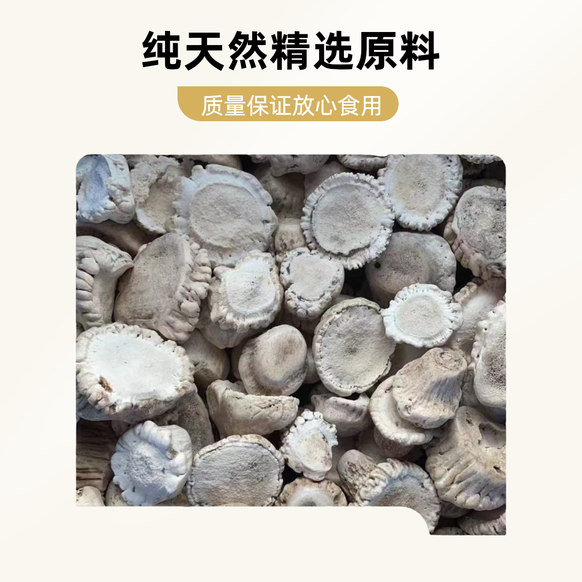吉林东北鹿托盘鹿角帽粉