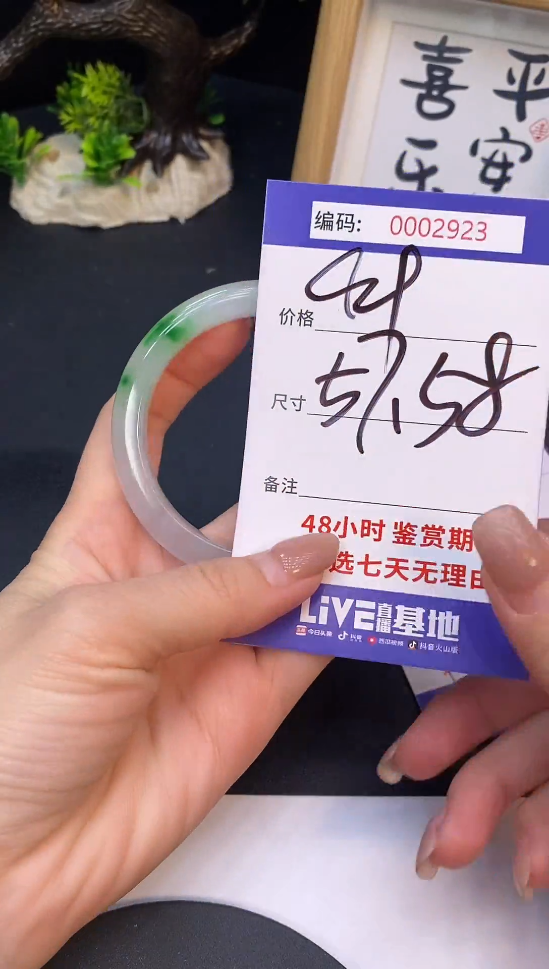 未镶嵌手镯翡翠0002923