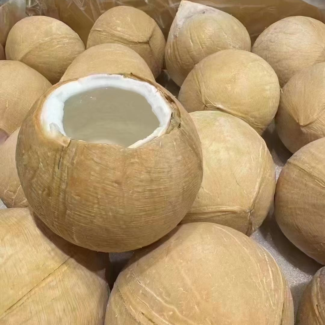【顺丰次日达】进口泰国椰皇8颗 丹嫩沙多老树  400-950g/颗  上海发货椰子汁椰青椰子水椰肉当季水果椰子椰子