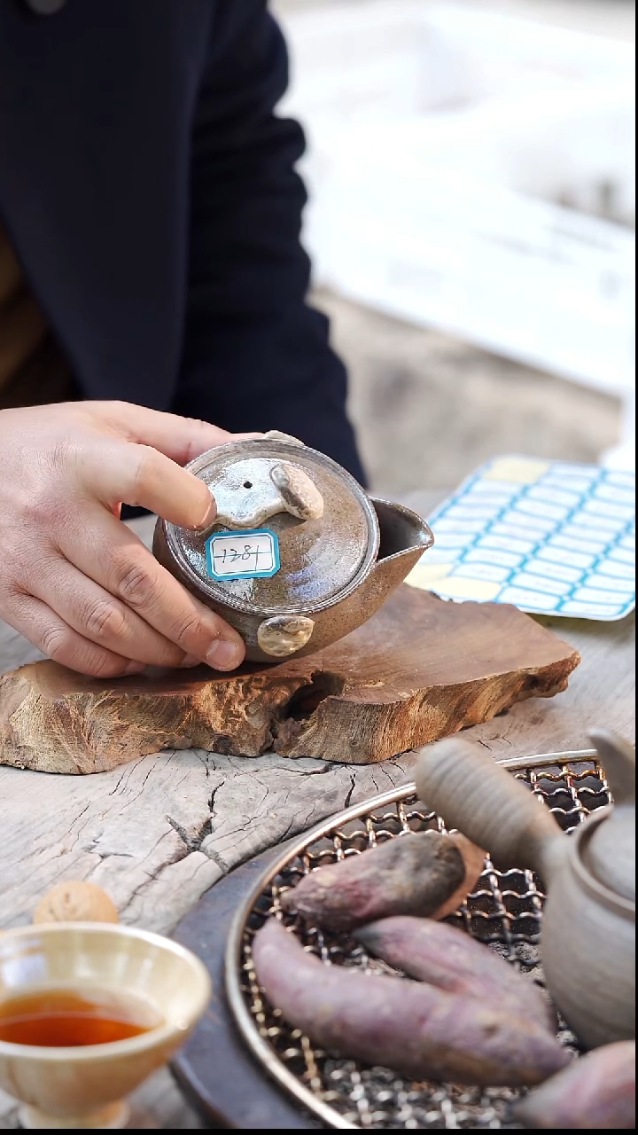 瓷片柴烧手工宝瓶1281