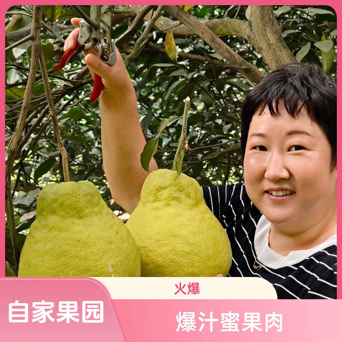 【中果】自家正宗合江真龙柚新鲜水果特产可放三月爆汁蜜果肉送1个