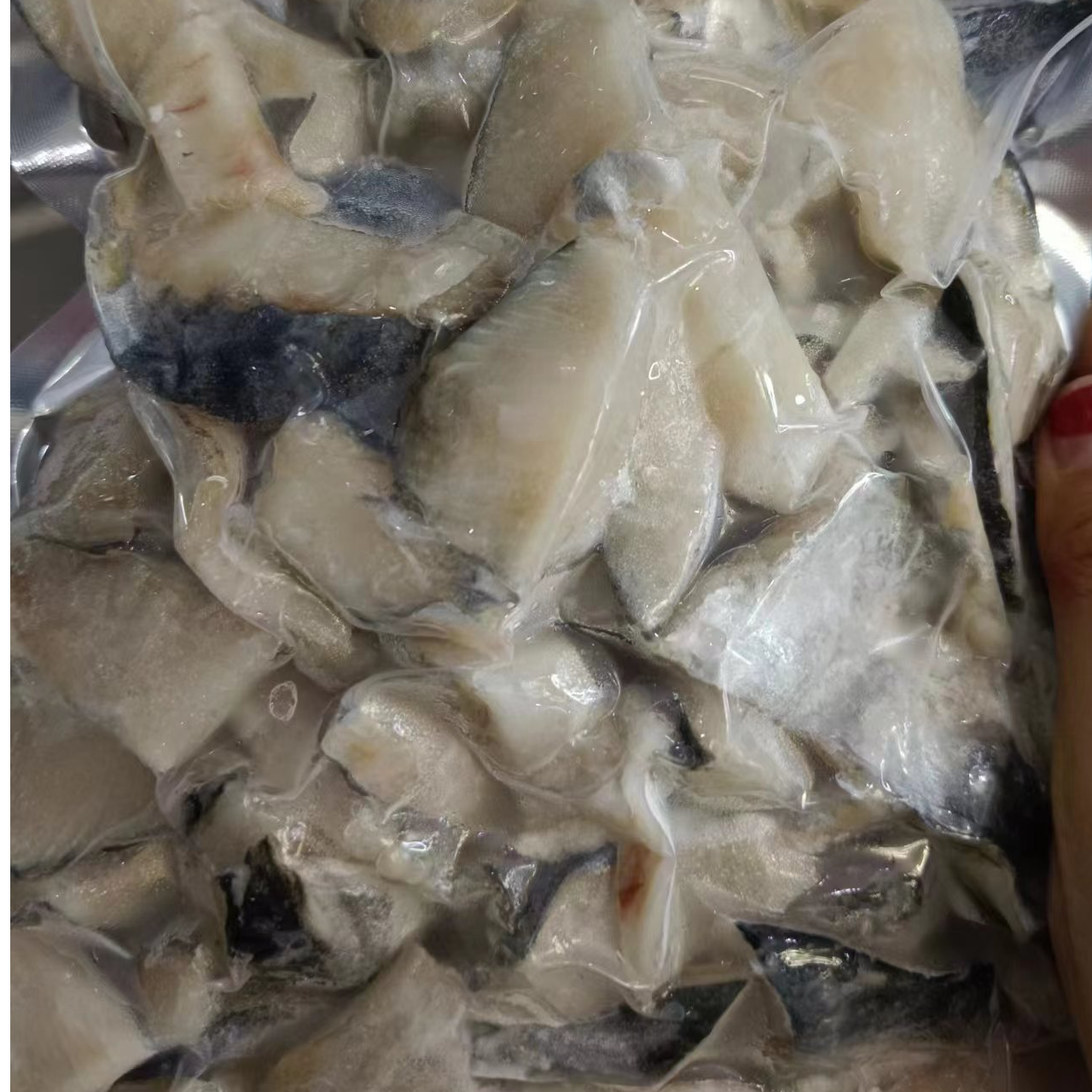 【京东包邮】新货新鲜冷冻鲅鱼块小段切块