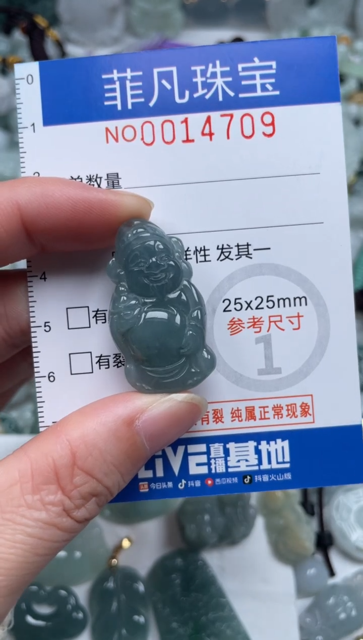 颈饰未镶嵌翡翠14709