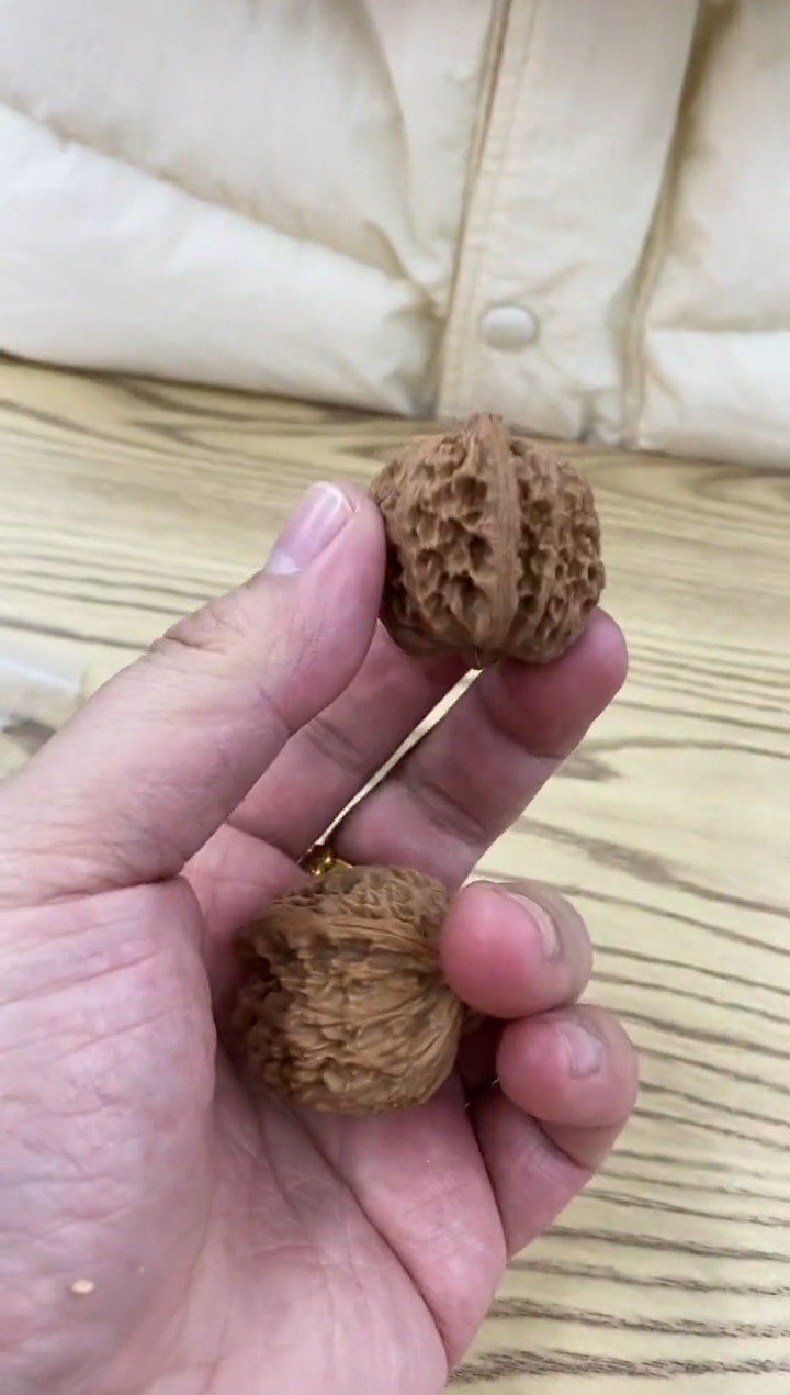 把件核桃中场福利白狮子