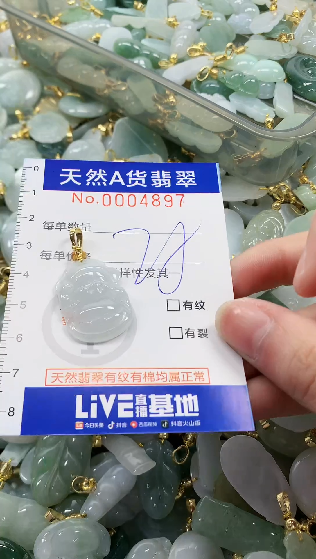 颈饰未镶嵌翡翠纯天然a货翡翠