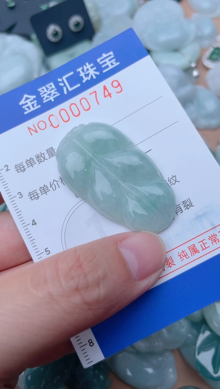 翡翠未镶嵌颈饰749