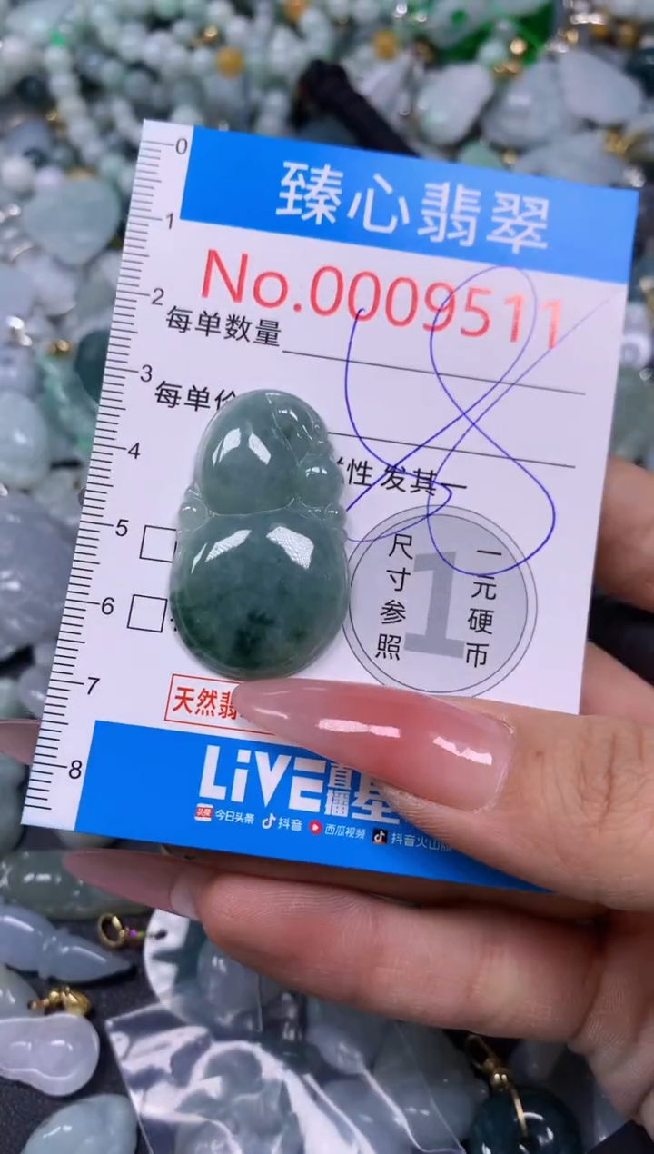 【闪购商品】翡翠颈饰未镶嵌含绳0009511